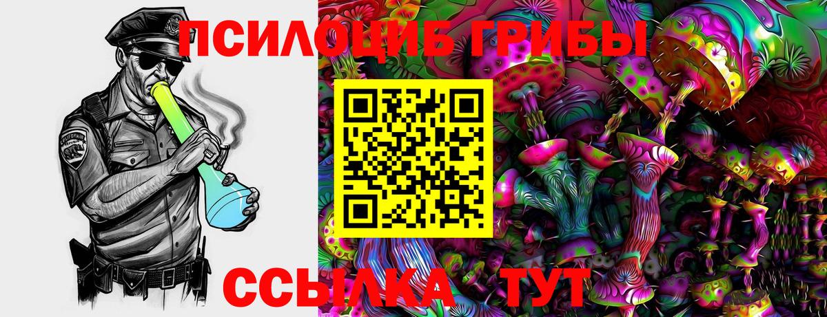 Псилоцибиновые грибы мухоморы Стрежевой